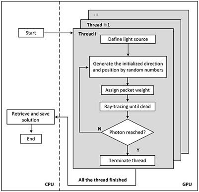 Parallelized Monte Carlo Photon Transport Simulations for Arbitrary Multi-Angle Wide-Field Illumination in Optoacoustic Imaging